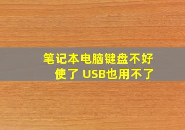 笔记本电脑键盘不好使了 USB也用不了